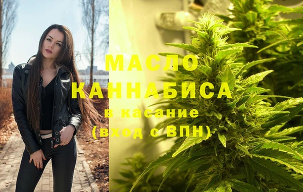мдпв Надым